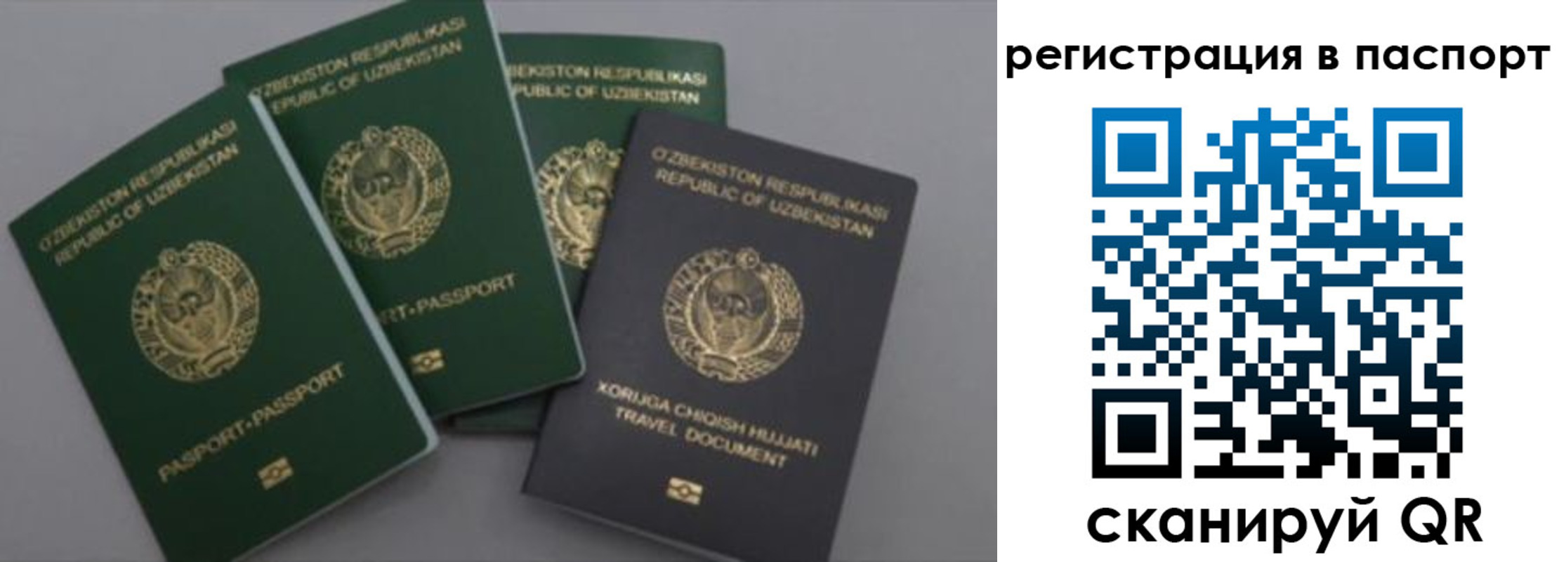 прописка от собственника в Сегеже